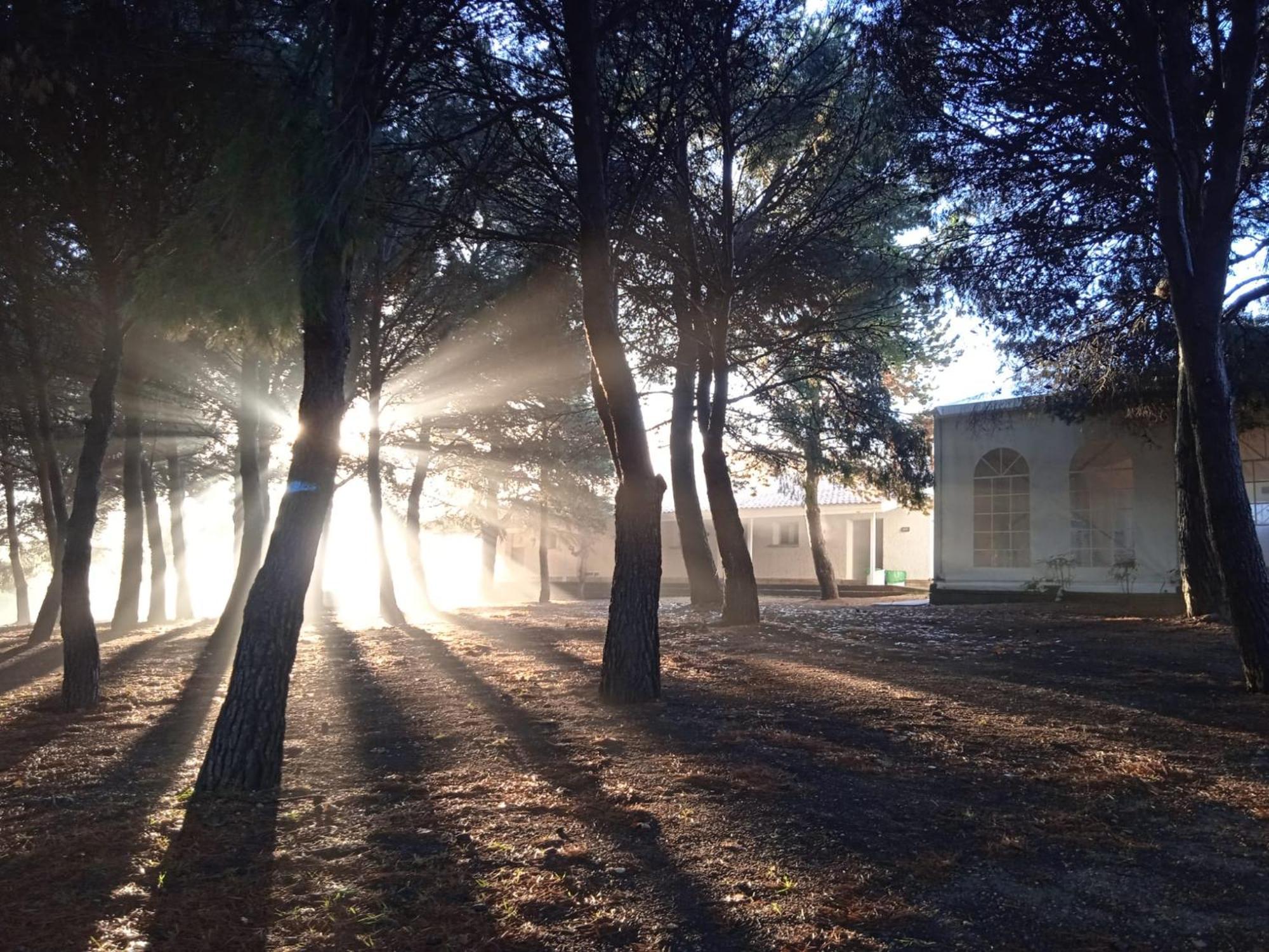 Albergue Zaragoza Camping Exterior foto